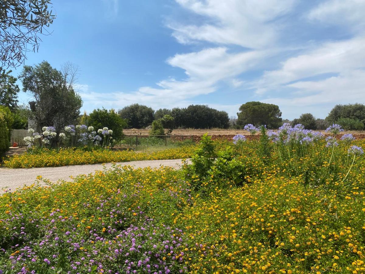 Casa Anna, Agriturismo Alla Castellana Gallipoli Exterior foto