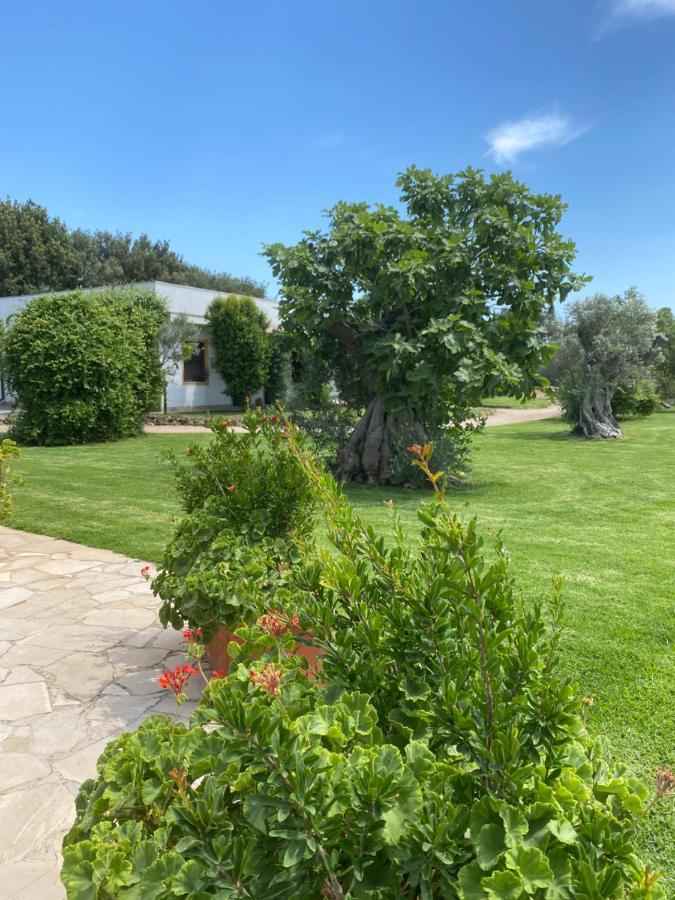 Casa Anna, Agriturismo Alla Castellana Gallipoli Exterior foto